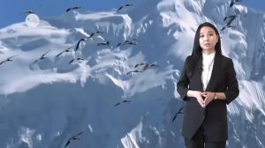 "Ғаламдық экологиялық проблемалар. Қазақстандағы экологиялық проблемалар". Макажанова Р.Р.