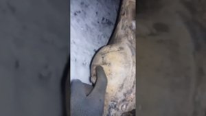 Обзор Багги с мотором от МТ-Днепр