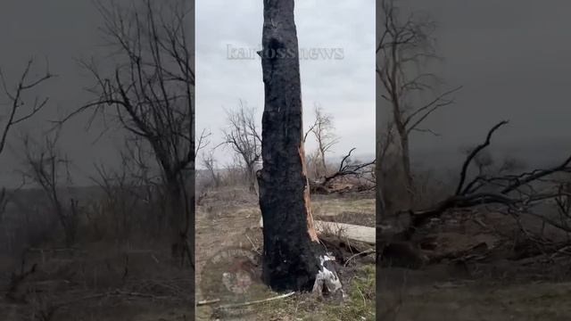 Начал снимать именно тогда, когда силы были на исходе? Но ничего, прорвемся!?? @karlossnews