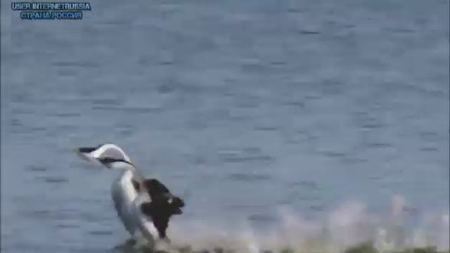 Зарядка позитивом