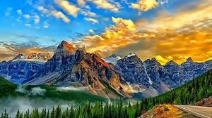 ? Истории из жизни.  Врач скорой помощи потерял дар речи, когда приехал по вызову. Жизненные истори