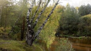 Река Узола. В поисках тихой красоты. Колесим по Нижегородской области