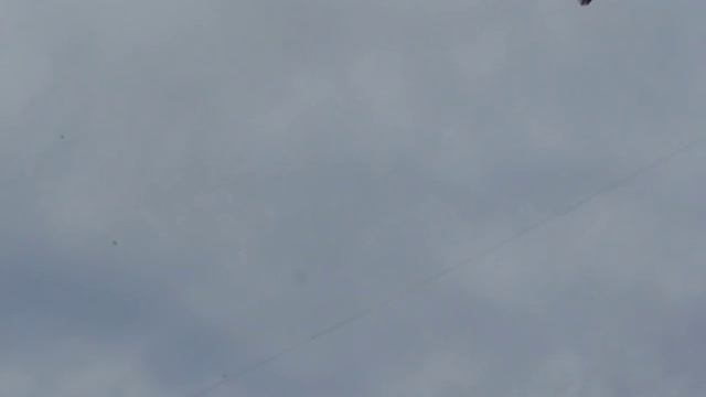 голуби юлика г покровск 2 смотреть онлайн