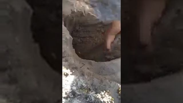 Metal detector whites смотреть онлайн