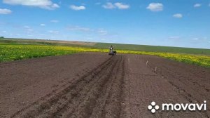 Посадка картофеля мотоблоком Нева