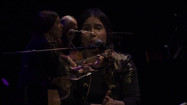 TAIJA ROBALTA & Ari Salin: Alegrías смотреть онлайн