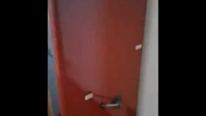 Пеллетный камин БЕЗ ЭЛЕКТРИЧЕСТВА Laminox Fiore 13,5 кВ