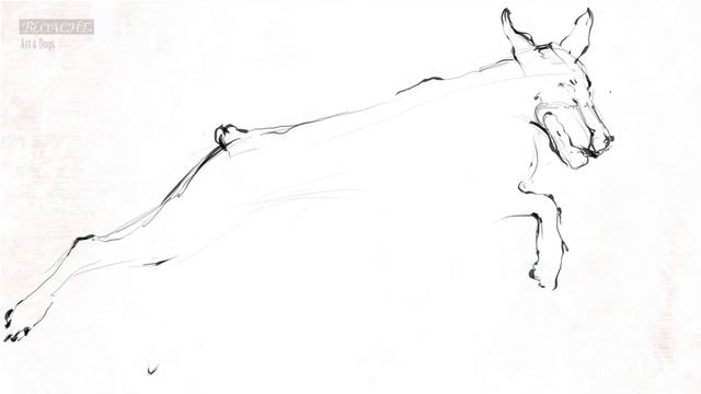 Croquis [ Doberman (Jumping) ] смотреть онлайн