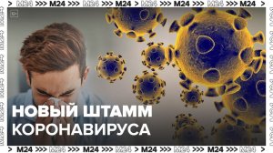 В России выявили 178 случаев нового варианта коронавируса FLiRT - Москва 24