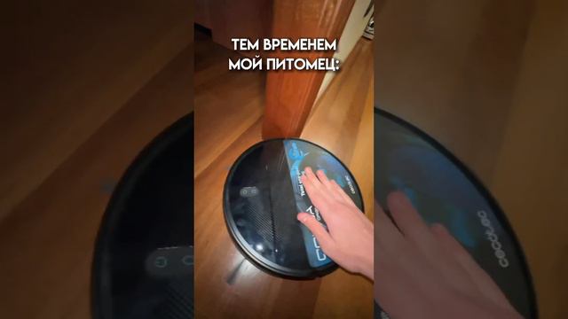 А у вас есть домашние питомцы?😍 #животные #собака #saasha смотреть онлайн