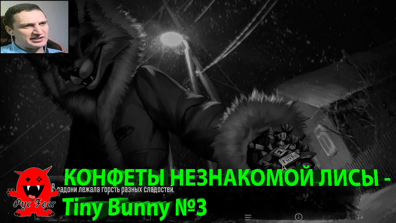 КОНФЕТЫ НЕЗНАКОМОЙ ЛИСЫ - Tiny Bunny №3
