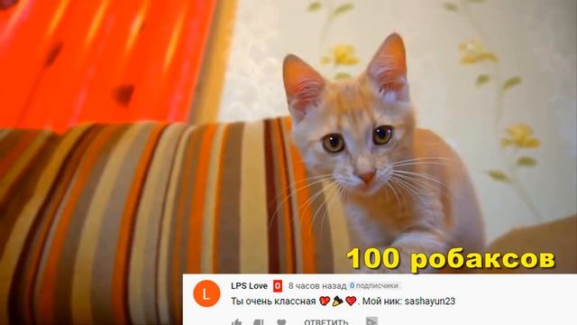 БЕДНЫЙ БАЛДИ УМЕР.. от ФРИ в ШКОЛЕ ПИГГИ история Мисс Ти Сиреноголовый Гренни PIGGY Roblox смотреть онлайн