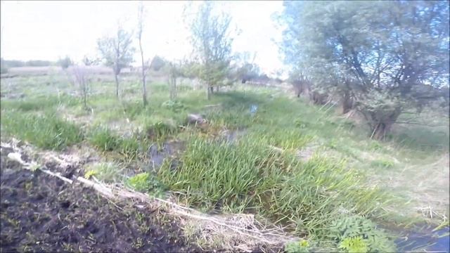 Зашел на болото и накопал монет смотреть онлайн