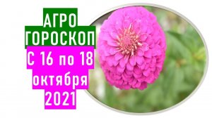 Агрогороскоп с 16 по 18 октября 2021 года