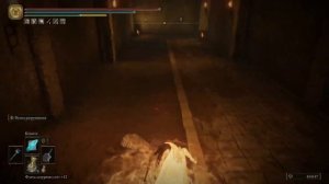 Как попасть в Подземелье отчуждения (Подземная канава) Elden Ring