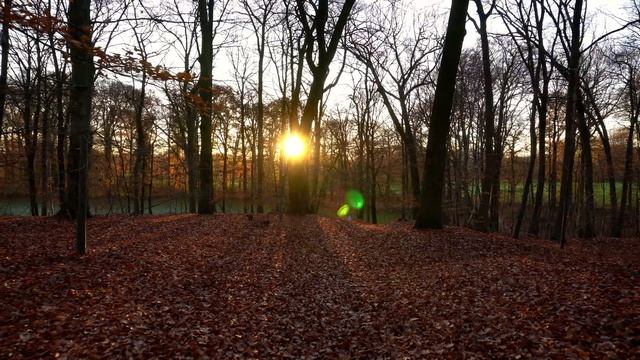 Sony a6400 + Zhiyun Crane m2 - video test смотреть онлайн