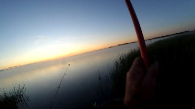 Какая оснастка круче: "Удар", "Убийца карася" или обычная донка? смотреть онлайн