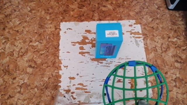 Металлоискатель Пират из мусора и палок. Часть 1. Как искать монеты Пиратом? Дискриминация смотреть онлайн