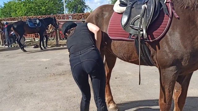 ДЕЗИНФЕКЦИЯ КОНЮШНИ?|| Упала с коня? || Мой день на конюшне!|| 1 июня-лето!|| КОННЫЙ ВЛОГ смотреть онлайн