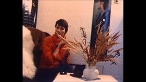 Рекламный ролик фабрики "Новая Заря" 1988 г.