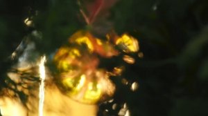 Рыба с Сочными Помидорами и Грейпфрутом