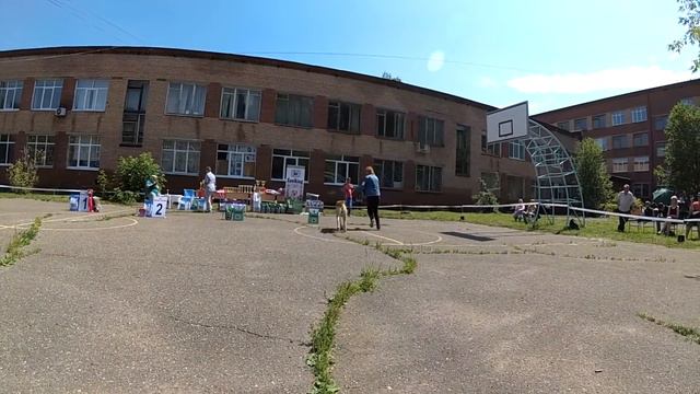 Моно САО ПК, ДМИТРОВ, ЩЕНКИ, кобель №9 ПОЛАТ ХАН РЫЖЕЕ СЧАСТЬЕ, Очень Перспективный , 1 место. смотреть онлайн