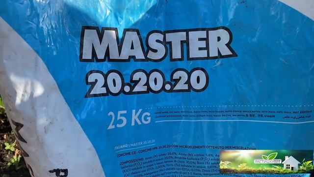 РОЗЫ. ВАЖНО !!!  ОБРАБОТКА ОТ ВРЕДИТЕЛЕЙ И ПОДКОРМКА  РОЗ  ПОД КОРЕНЬ «МАСТЕР 20:20:20»