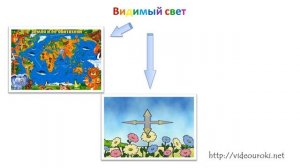 Влияние электромагнитных излучений на живые организмы