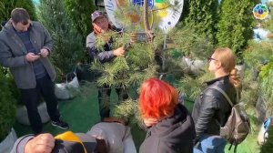 Ниваки как образ жизни. Часть 1. Первичное формирование