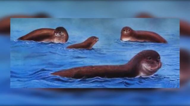 Красная книга исчезающие животные смотреть онлайн