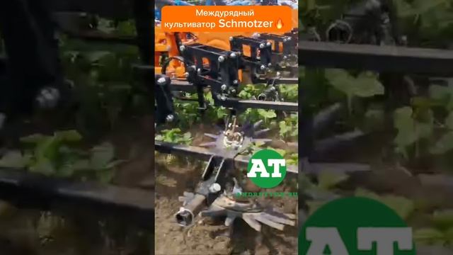 Междурядный культиватор Schmotzer? #tillage #amazone #schmotzer #deere