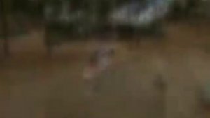 Веселые старты, музыкальный руководитель Хижкин Д М , воспитатель Щебуняева Е С