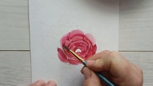 Рисунок Роза АКВАРЕЛЬЮ