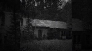 Улица Восток - Запомни Bad comedian - обзор на Ёлки @user-rz4xz1ds6p