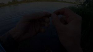 Поплавочная рыбалка на реке Луга в конце лета