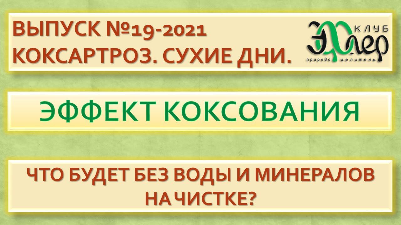 Выпуск №19-2021.КОКСАРТРОЗ. Эффект "КОКСОВАНИЯ". Сухие дни СУШАТ и КОКСУЮТ? Снова о воде и минералах