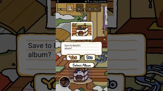 Neko Atsume: Kitty Collector - 2016-01-15 ♥ ? ?