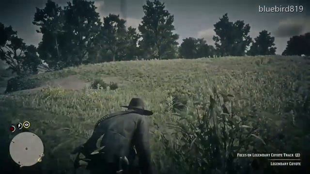 Red Dead Redemption 2 Legendary Coyote and Coyote Fang Trinket смотреть онлайн