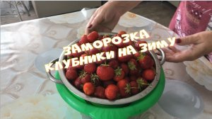 Самый простой рецепт . Заморозки клубники на зиму ..mp4