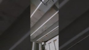 Видеообзор морского контейнера 40 футов высокого внутри