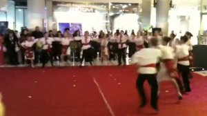 Национальный Молдавский танец/Nationall Moldavian Dances