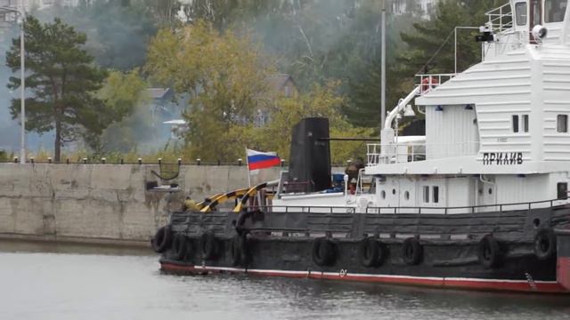 Учения Внутренних Войск МВД России (совместно с УТ МВД России по СФО)