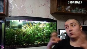 Полноспектральная светодиодная лампа для растений! Отзыв о светодиодах