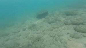 Плаваем в море отель Пшандра Гадаута