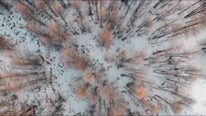 Интересные факты о Монголии