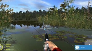 Русская рыбалка 4  Линь. Пробуем прикорм на линя.Попытка поймать угря.