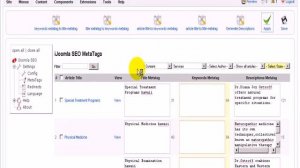 How to use the metatag manager of SEO - YouTube-24.flv