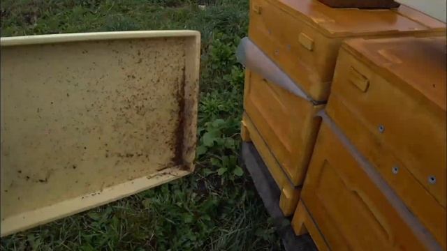 УТЕПЛЕНИЕ ПЧЁЛ ОСЕНЬЮ смотреть онлайн