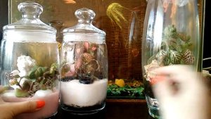 ФЛОРАРИУМ. Что стало с закрытыми флорариумами через 4 и 9 месяцев.