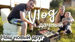 Дачный влог / Наш новый друг решил проблему